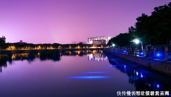 铅皮座|初夏手竿玩夜钓,可以不用浮漂,这种钓法更有乐趣,收获有保证