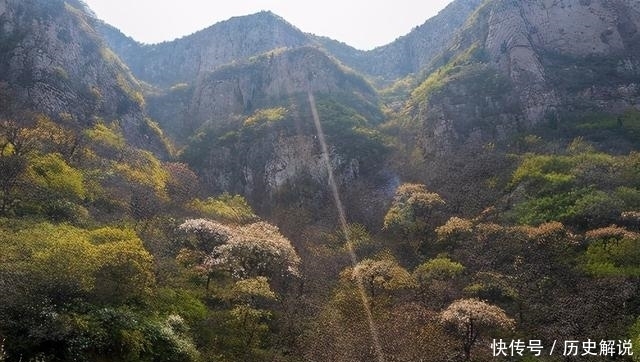 探访济南南部山区杨家寨，悬崖绝壁上有壮观的连翘花海