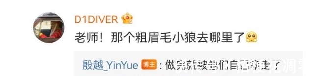 小狼|王一博一定有在很多节目里收的小玩具,羊毛毡小狼也被拿回家了