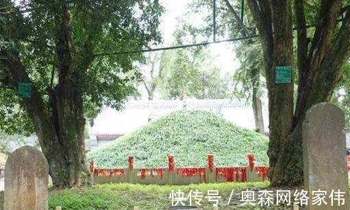 曹操|诸葛亮墓1700多年无人敢盗，至今仍是个谜，坟上的大树很神秘
