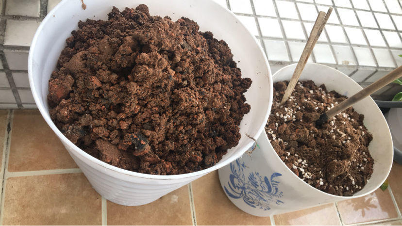 山泥|养花选土是关键,选对了这几种土,养啥啥爆盆!