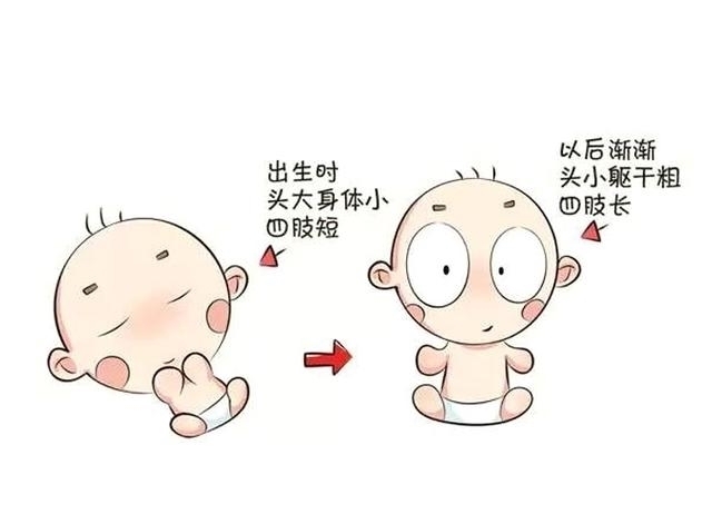 身高|都说养儿日日新,新在哪呢?长个子呗