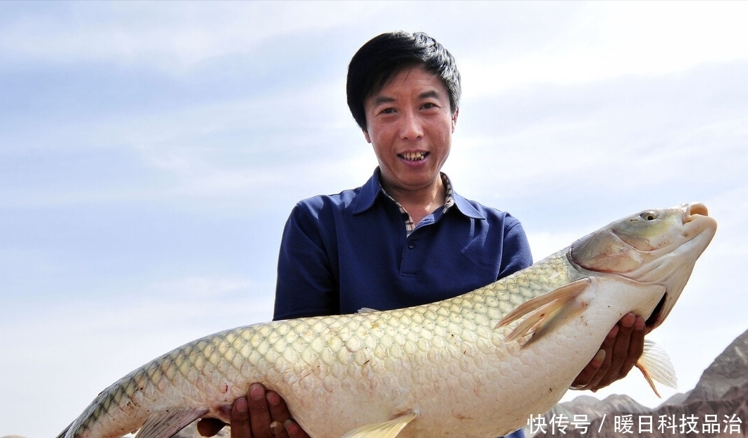 钓鱼|大鱼真的难钓吗？学到这7个技巧，助你天天钓大鱼