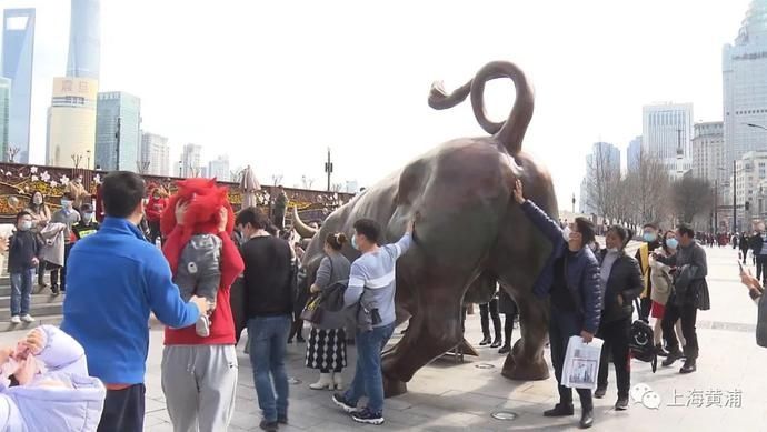 爱申活暖心春 ｜新年去哪沾牛气？景区迎来大客流，外滩金牛成主角！
