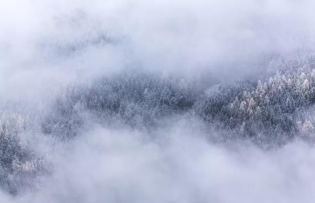 最美|诗词丨史上最美的8首短诗,首首经典,谁读了都会心醉