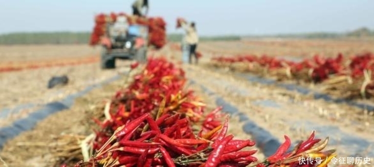 全国|全国“最爱”吃辣的几个省,有的把辣子当菜吃?你觉得哪个省“最能”吃辣?