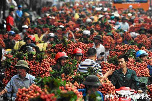 东南亚国家|中国游客为啥频频被“宰”越南人谁叫你们老说这句话