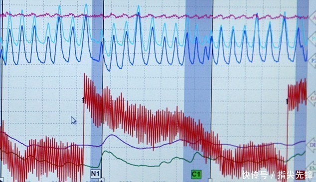 jeremy|测谎仪说他是“渣男”,英国大叔上个节目却被逼死了…