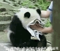 沐浴露|孕期洗发水沐浴露都用不对?难怪头秃皮肤差!选对用几年都不想换