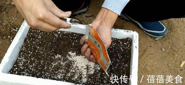 养花的“旧土”加点“废物”,又肥的流油,养花一级棒