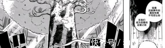 世界政府|海贼王：乔艾莉·波妮竟然是暴君熊的母亲，信息量太大