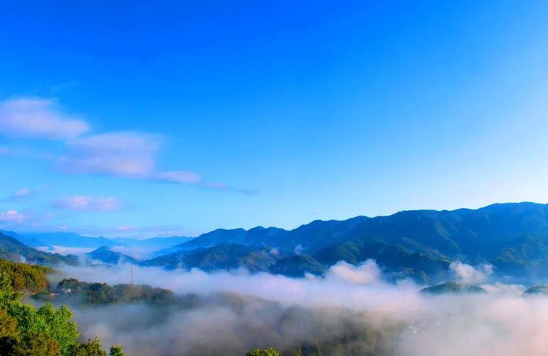 老年|【美景】初春看云，普洱这里美如“仙境”……