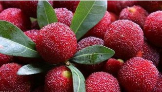 天天吃水果，但是您知道水果也是有“性情”的嗎？現(xiàn)在知道還不晚