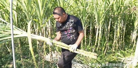 余杭人的心头好,即将上市!曾经风靡全国,很多人小时候都吃过!