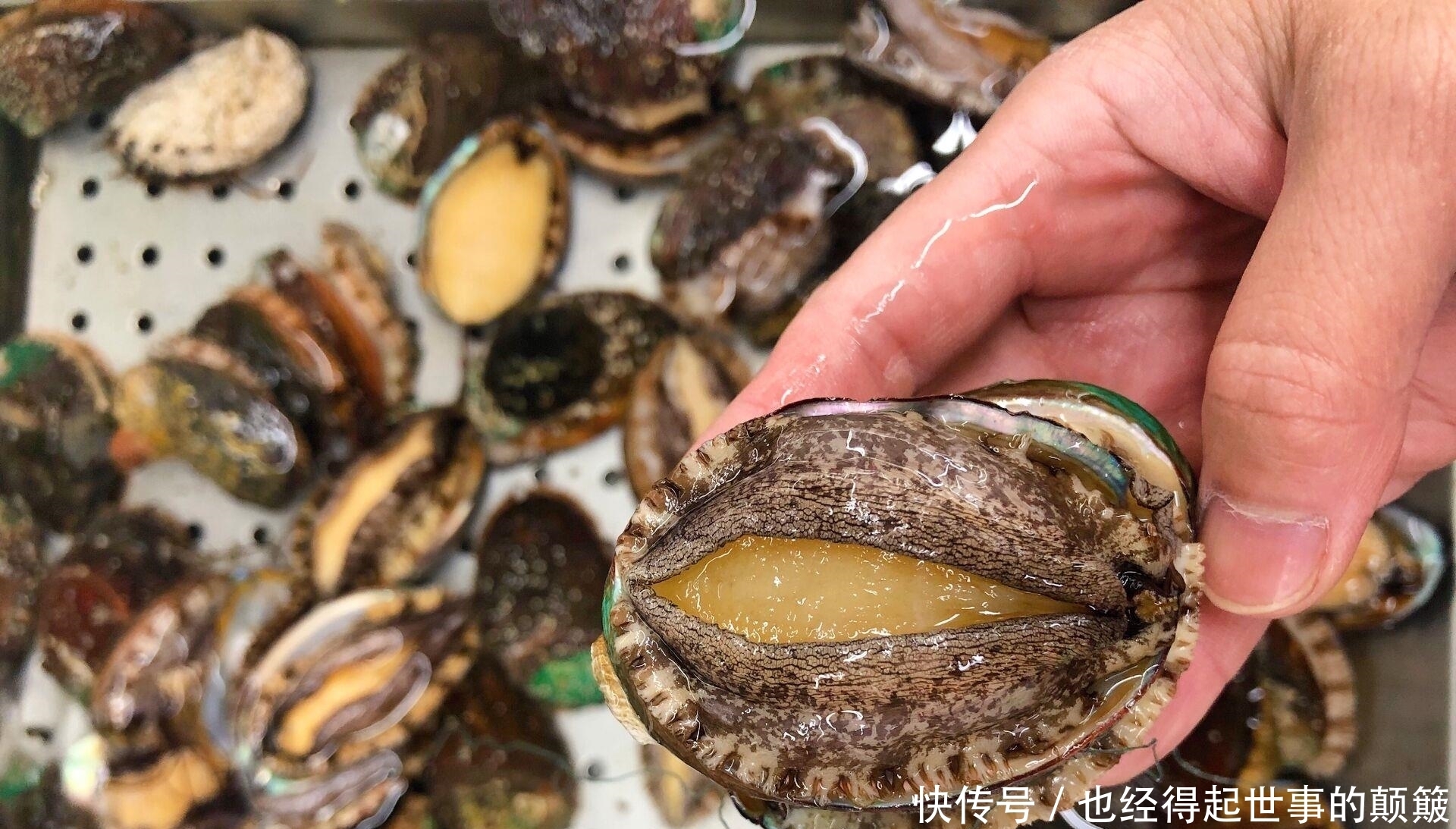 骨头汤冰冻可以放几天