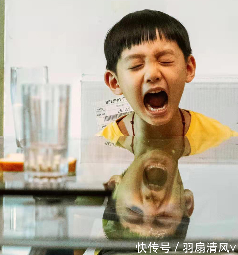 |奇奇悦悦的姐弟情特别幽默:越是嫌弃,越是情深