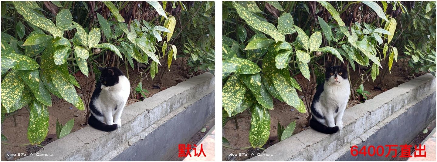 配色|轻薄机身 + 独特配色，vivo S7e 体验