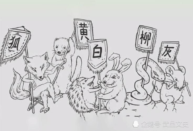 “黄鼠狼”为何不能吃,真的是因为迷信李时珍早已经给出答案