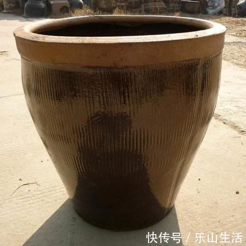 老物件|农村大水缸越来越不舍得扔了,铺些碎石水草变水景,城里人抢着要