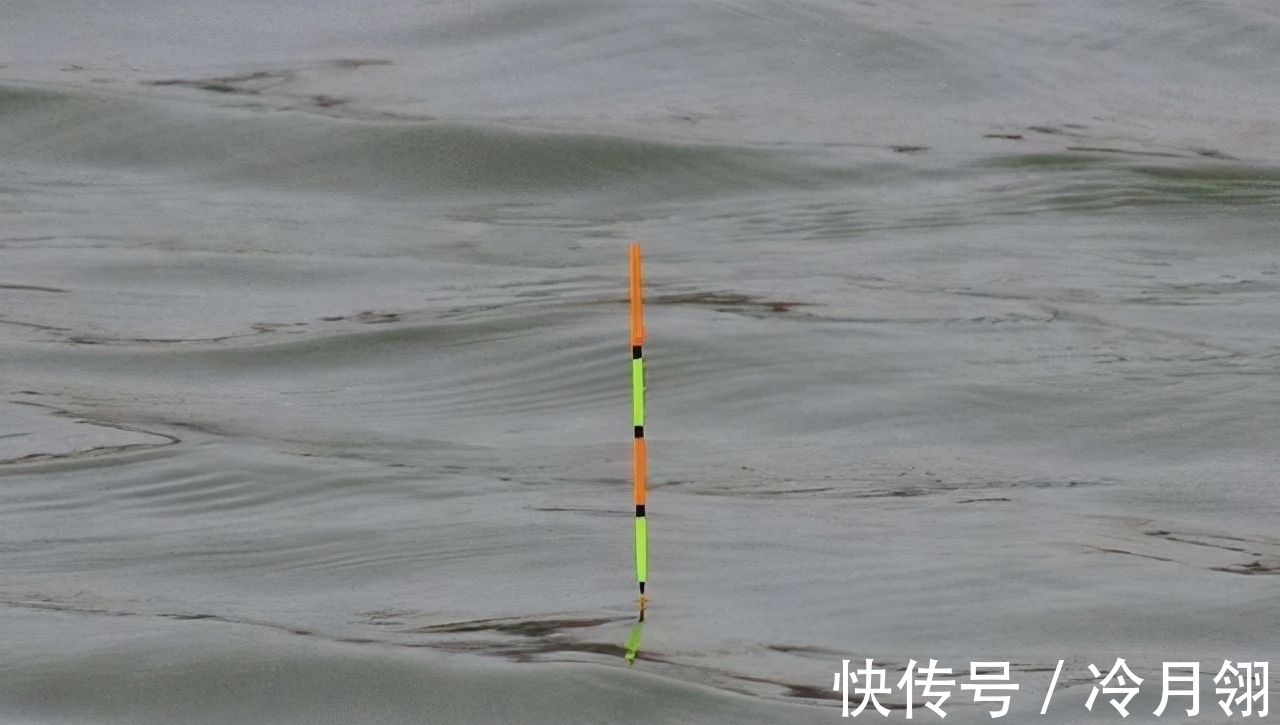 搞明白浮漂产生动作的原因,就知道怎么钓鱼了