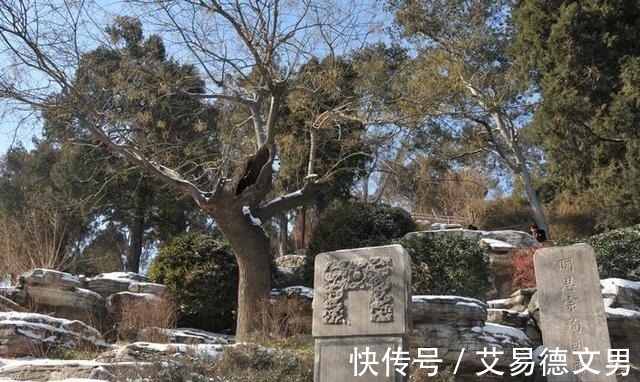 北京城|守护北京城的五大镇物，镇得住妖魔，却没镇住人心（下）