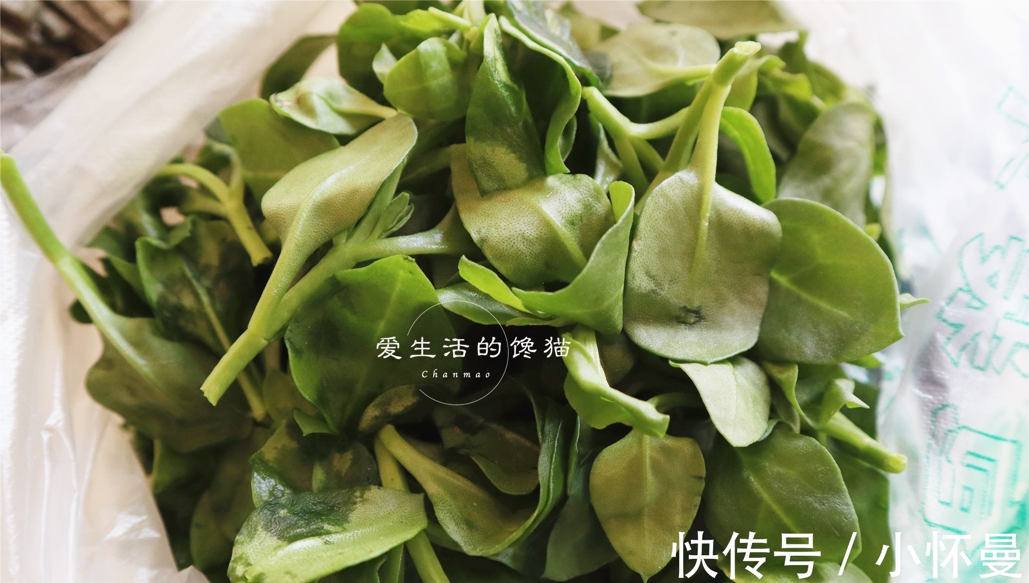 花蟹|老公说要吃海鲜,出门买了满满一桌,花了3百多,您看值不值?