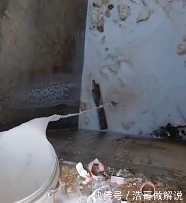 青春有你|太浪费!粉丝买大量牛奶为偶像投票,不喝直接倒进臭水沟