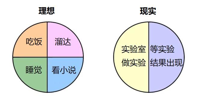 博士生|看了一天其他博士生的日常，我自闭了