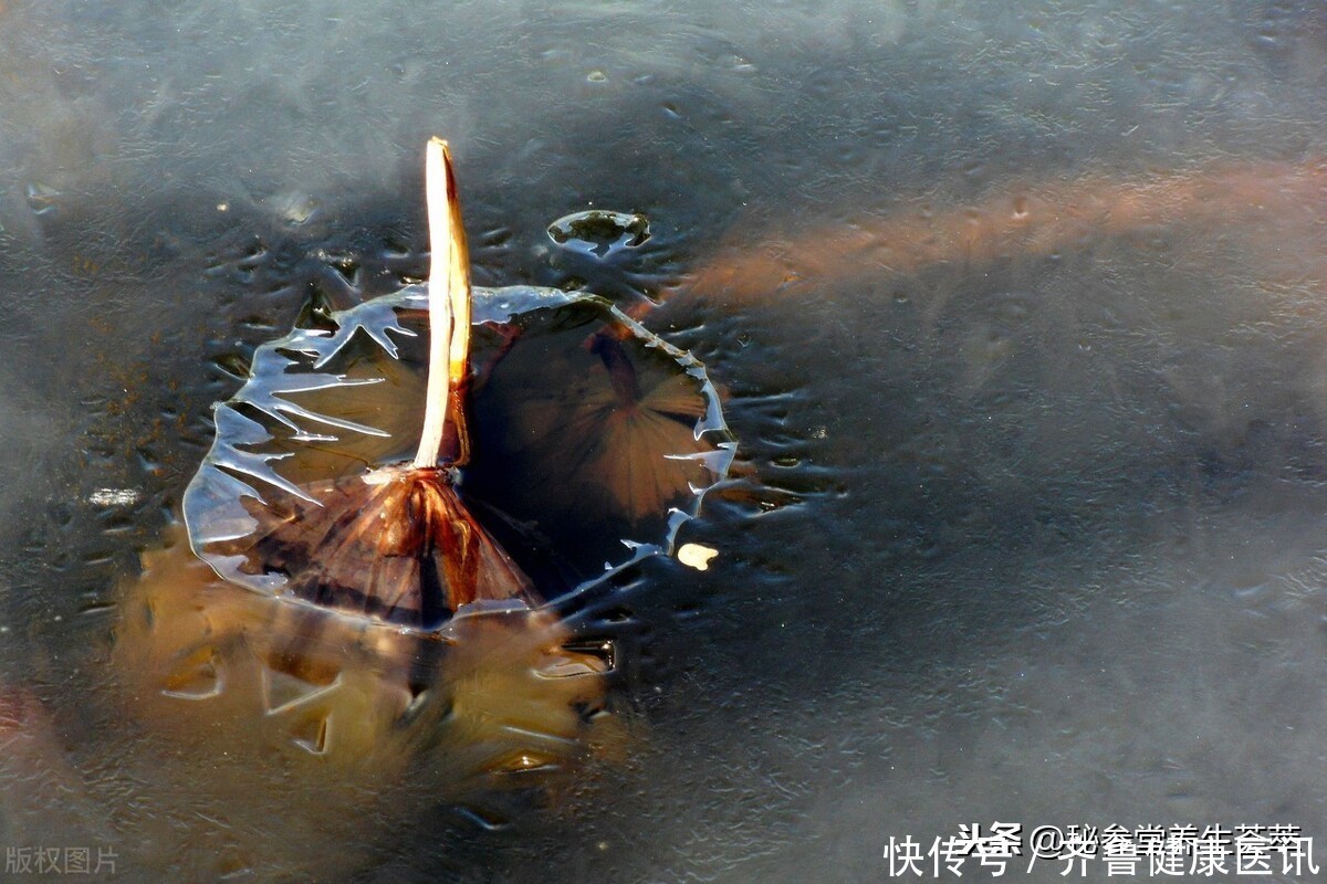 大雪|大雪节气吃什么最养生