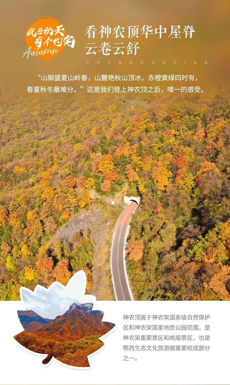天下风物——《从国庆开始，神农架将迎来“华中屋脊”盛放的秋色！（二）》风光题照