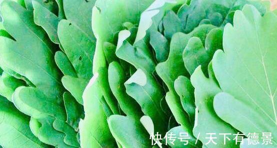 冬病夏治|女性宫寒高发期,常用此物泡水喝,暖宫排污血,美容排毒