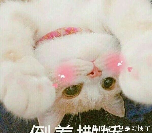 今日大雪,以“雪”为主题的微信图文如何排版?