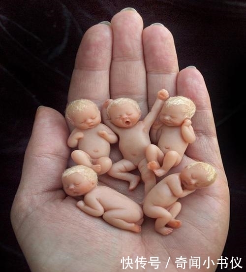 最小|世上最小“婴儿”,5个能同时放在一只手上!是新生父母的最爱!