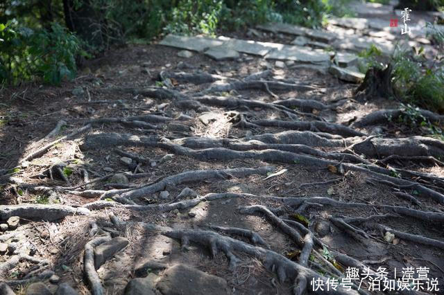 大别山|看大别山最美的风景，还要到安徽六安霍山来！