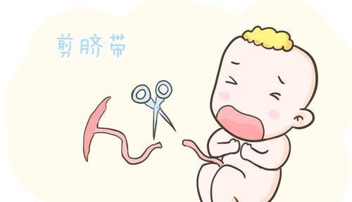 准妈妈|新生儿出生后的“神秘十分钟”都经历了什么?很多妈妈都不知道!