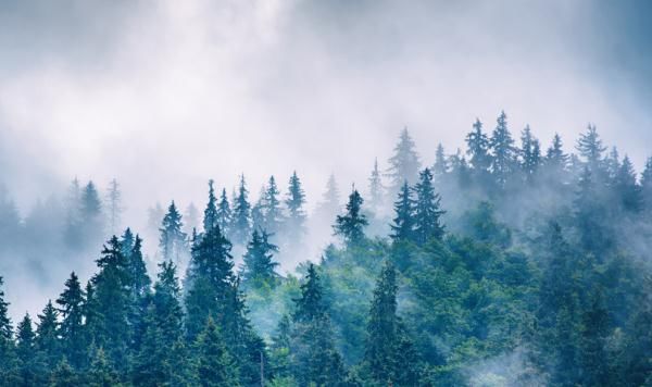 青绿山水|只此青绿，是朝天