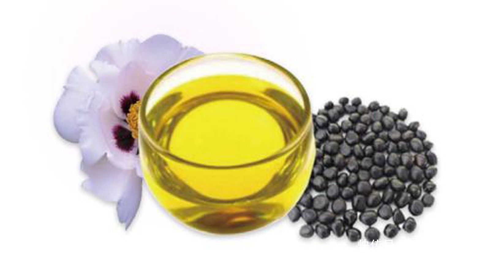 色拉油、调和油有什么区别？盘点25种食用油大全，哪种比较好吃