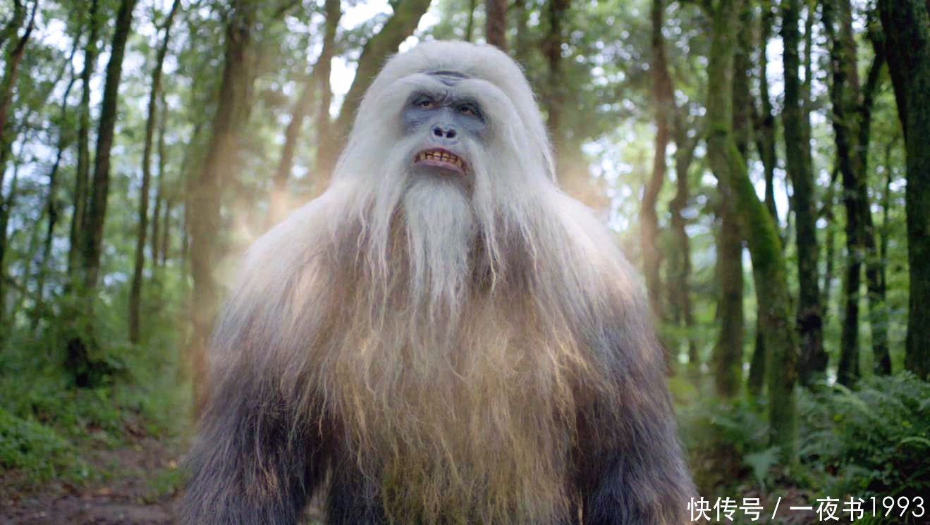 斗罗大陆电视剧千仞雪假扮胡列娜?简化版六翼天使武魂亮相,看哭了