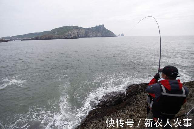 山东钓鱼人组团深海钓大鱼,米级百斤巨物接连上钩,网友:发财了