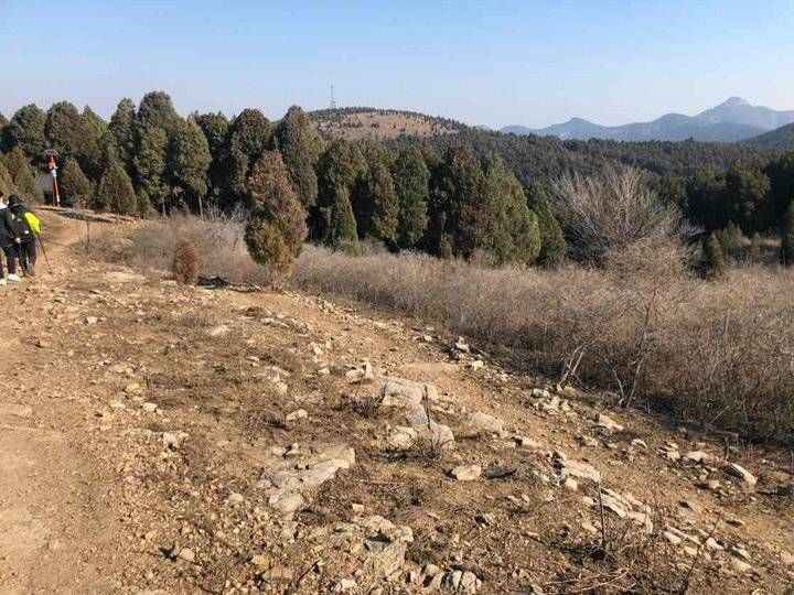 情报站|我去了藏龙涧，济南处处都是景