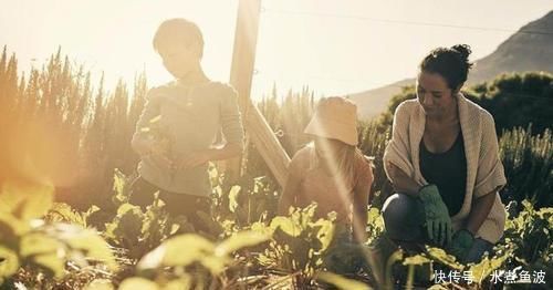 三观|没有良好三观的家庭,很难养出有出息的孩子,将来也会低人一筹