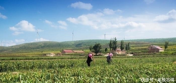 壮举|中国人又一伟大壮举一张塑料膜，将寸草不生的黄土高原变成绿洲