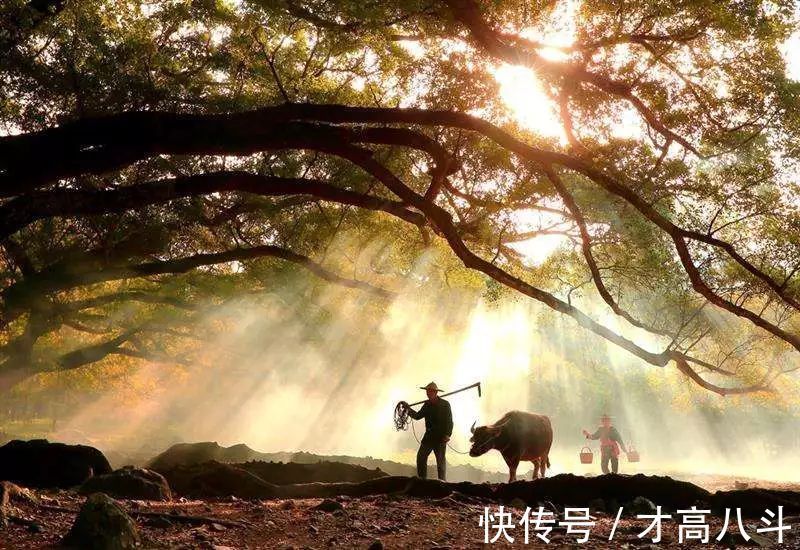 早行@10首早行诗词,总有一句,说中你的孤独时刻