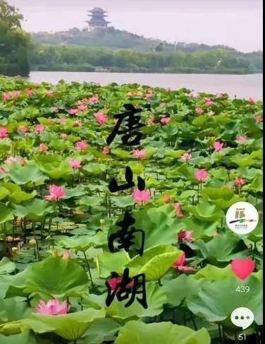 低薪|播放破亿！2020年唐山文化旅游抖音载誉而归