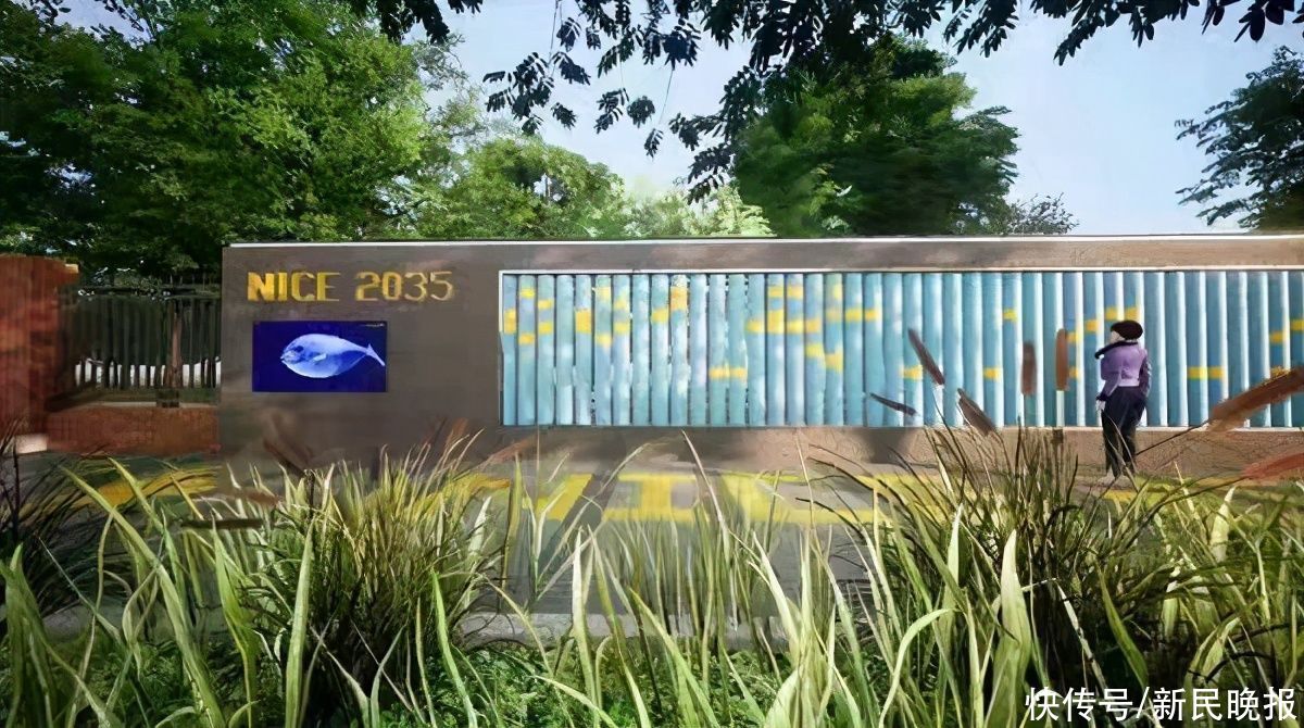 数字化窥见未来社区长啥样｜数字化“申”活