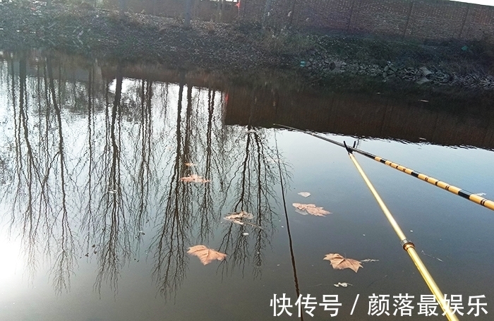 信不信随你,冬季鲫鱼虽然开口,但不注意这3点,钓不到也正常