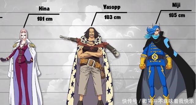 海贼王数据公示2罗宾长腿令女生羡慕 山治家族只有两个正常人 全网搜