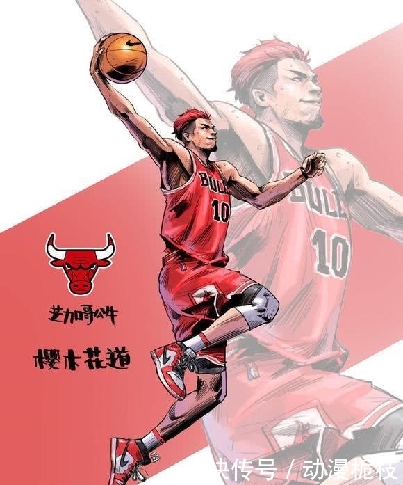 流川枫|《灌篮高手》毕业后的主角们, 樱木加入公牛, 流川枫没去NBA