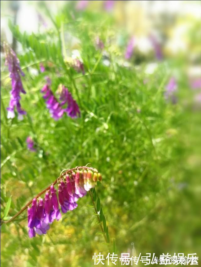 喂养|婴儿有这些表现就要喂喝水了,别让宝宝受伤害