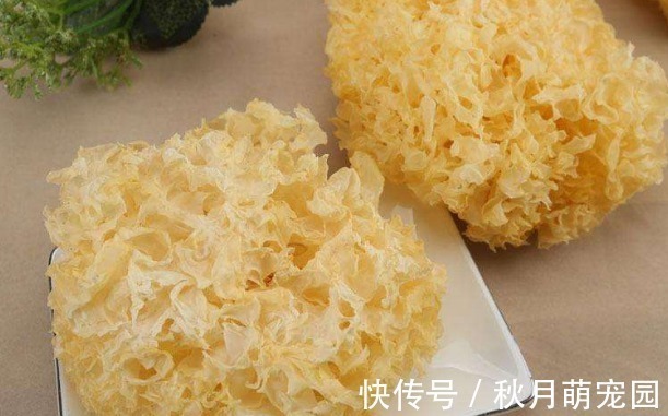 食物|勤俭是美德,医生:4种食物不能“二次加热”,满满的细菌